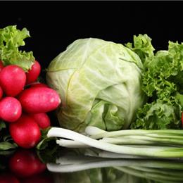 Vegetable distribution